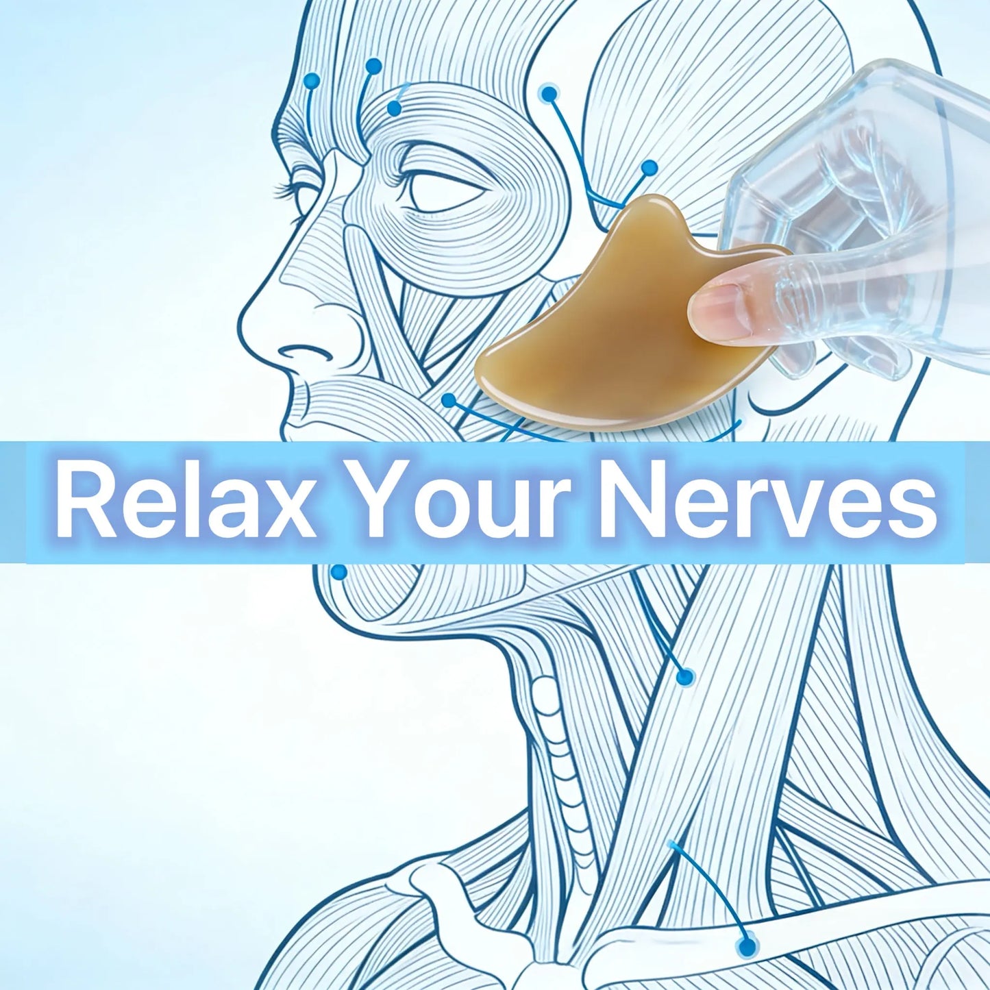 The Still Point - Navigating Your Neural Pathways Miss Maya Shop
