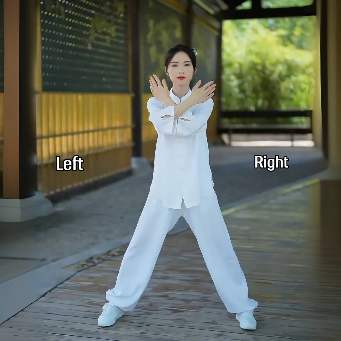 TCM Daily Wellness — Inner Nourish & Outer Revive | 9 Gua Sha Lessons + 12-Min Baduanjin Qigong
