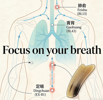 The Breath Keeper's Atlas - A Gua Sha Journey Through the Lungs Miss Maya Shop